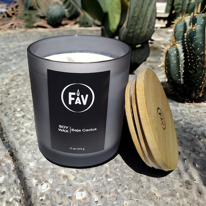 Baja Cactus Soy Wax Candle 11oz